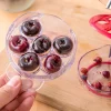Dénoyauteur, manuel, jusqu'à 6 fruits haute qualité