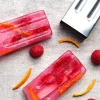 Moule à glace, 6 glaces avec support qualité supérieure
