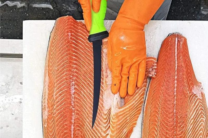 Cuisine Couteau à Poisson : L'Outil Indispensable pour Des Découpes Précises et Faciles
