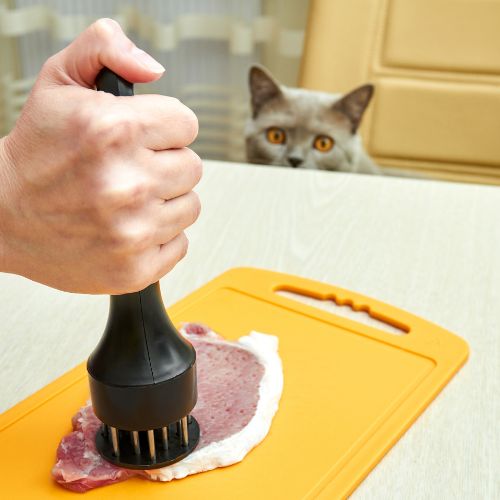 Cuisine Attendrisseur de Viande : Le Secret d’une Chair Tendre et Savoureuse à Chaque Bouchée